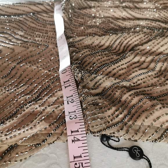 Adrianna Papell Nude Beaded Gown Size 4 - Picture 6 of 12